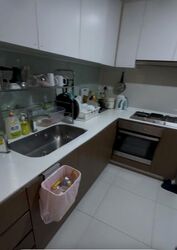 The Lakefront Residences (D22), Condominium #504633601